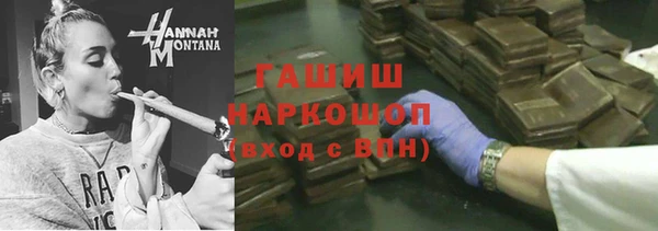 гашик Новозыбков